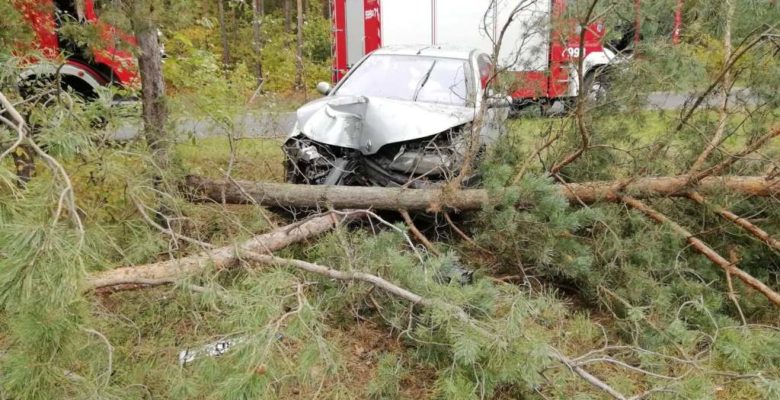 Wronki samochód uderzył w drzewo OSP Amica